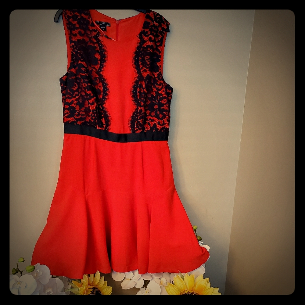 Lace color block dress with swing skirt